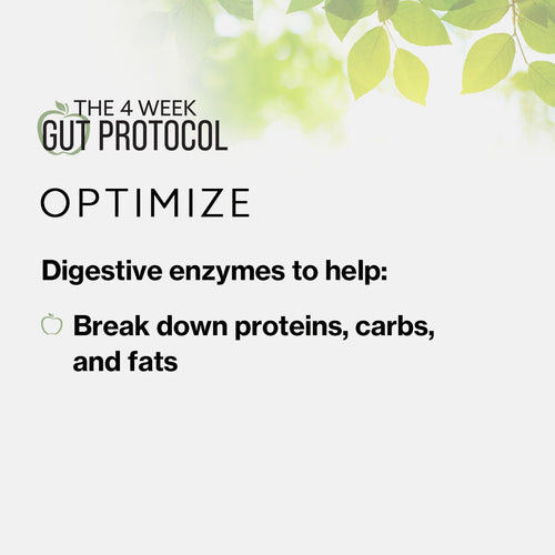 The 4 Week Gut Protocol Optimize benefits