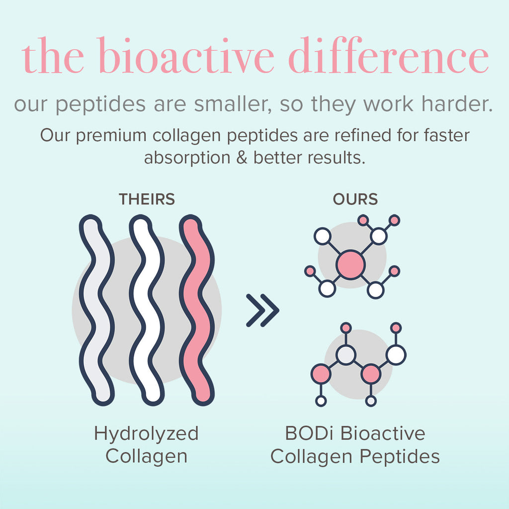 Collagen peptides bioactive difference