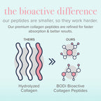 Collagen peptides bioactive difference