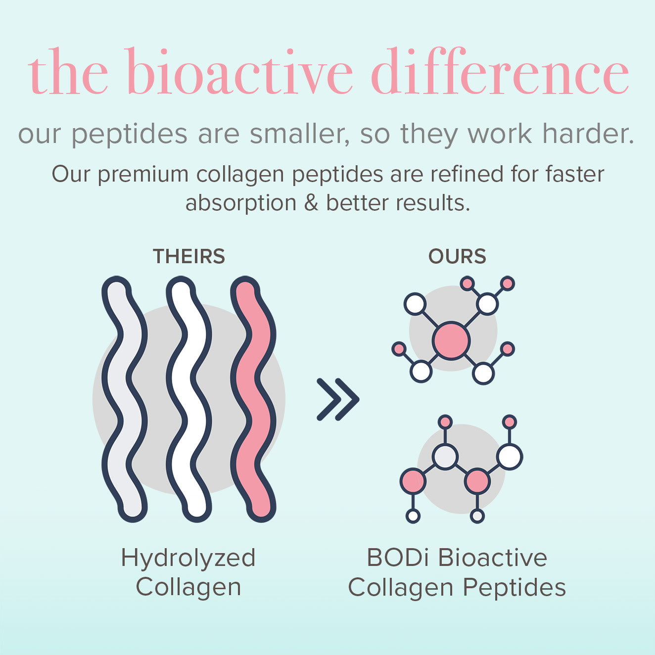 Collagen peptides bioactive difference