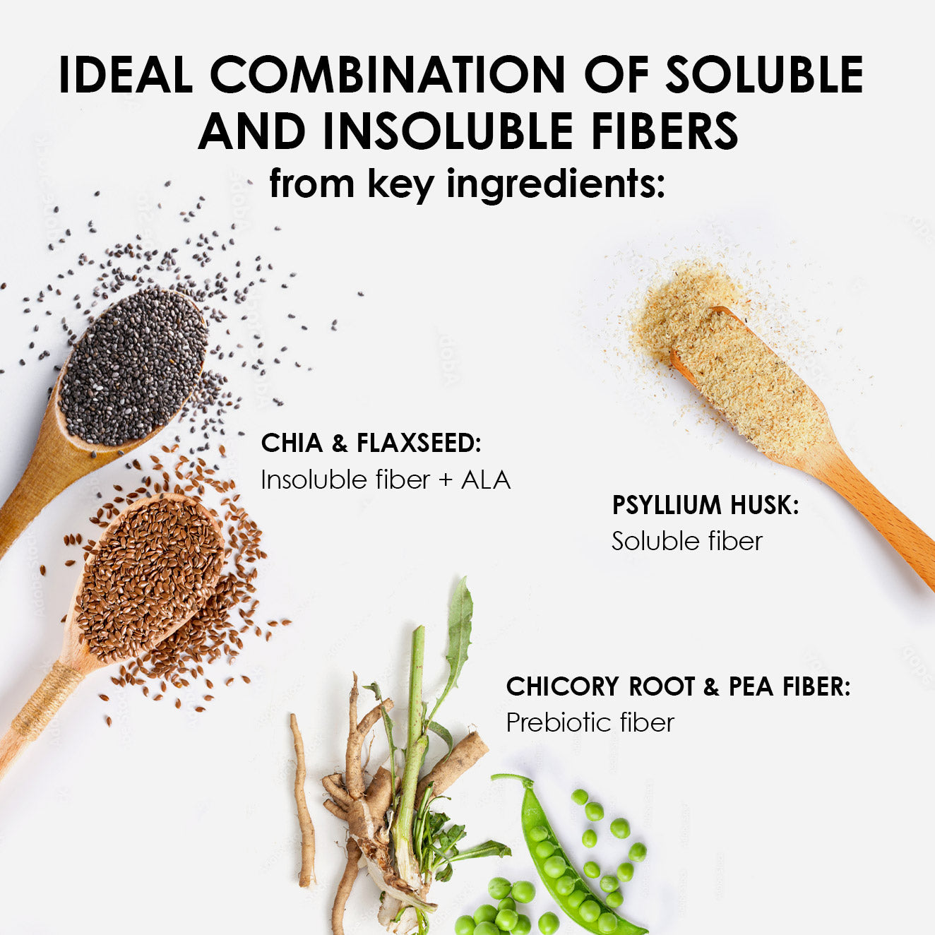 Digestive Health ingredients