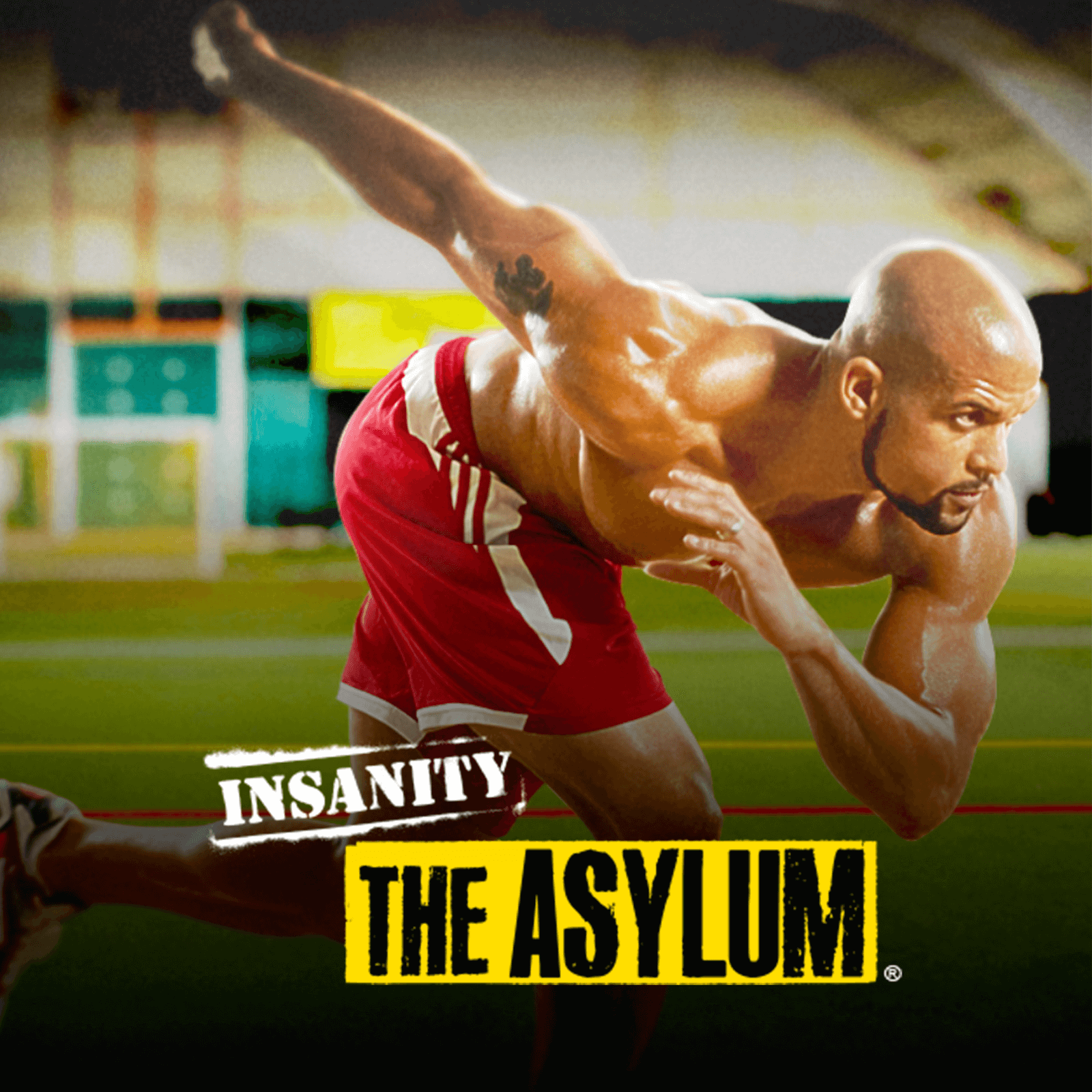 INSANITY: The Asylum
