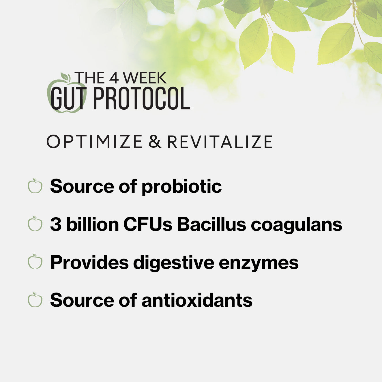 The 4 Week Gut Protocol Optimize and Revitalize nutrition sources